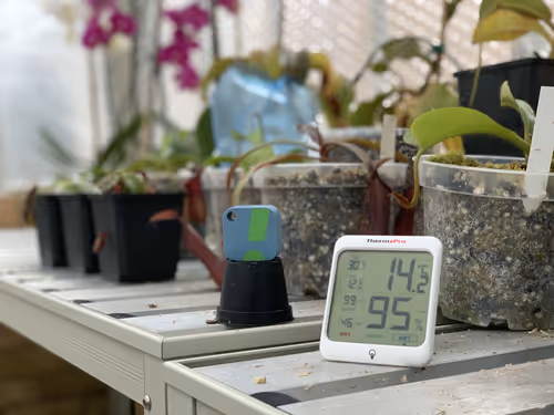 01. The SensorPush bluetooth sensor, and my separate digital thermometer and hygrostat