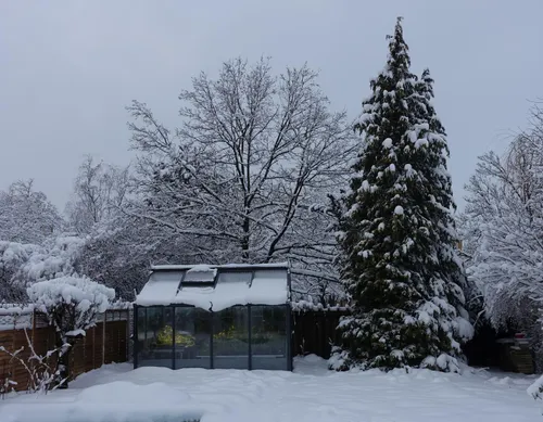 01. The greenhouse in winter