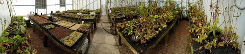 01. The intermediate room
