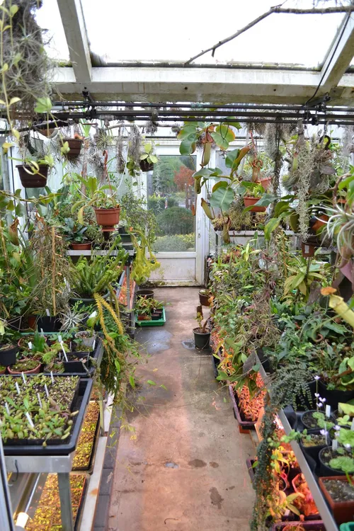 01. We first entered the main intermediate greenhouse