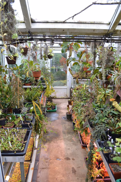01. We first entered the main intermediate greenhouse