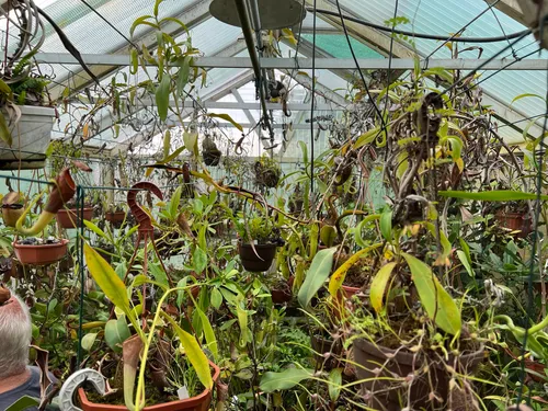 01. "It"s a bit crowded in here - I need to get better at taking cuttings." Yes, Chris. I can help