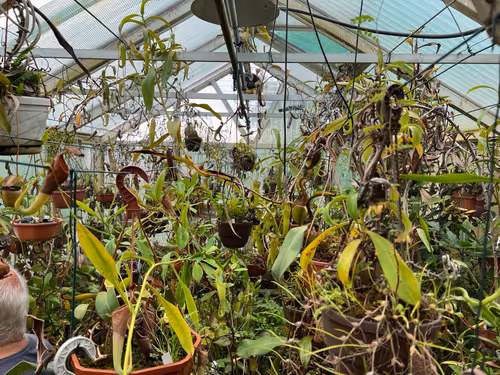 01. "It"s a bit crowded in here - I need to get better at taking cuttings." Yes, Chris. I can help
