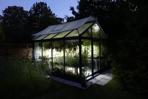 02. Greenhouse by night