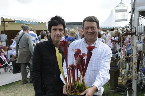 02. Sarracenia Johnny Marr, a selected form of Sarracenia x catesbaei, seen here with its namesake