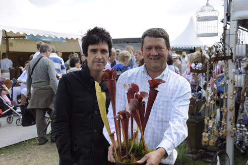 02. Sarracenia Johnny Marr, a selected form of Sarracenia x catesbaei, seen here with its namesake
