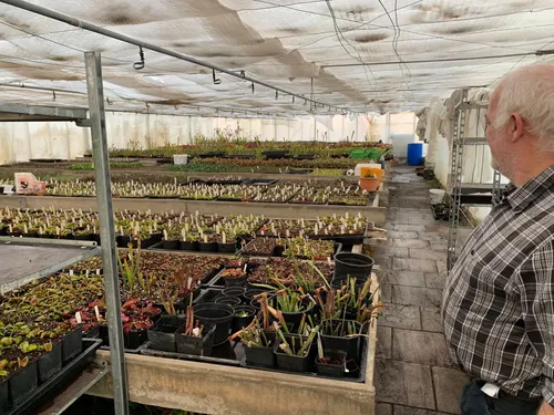 02. The first of Christian's polytunnels, absolutely filled with Dionaea, Sarracenia, temperate Pinguicula, Cephalotus, and more