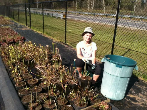 04. Siru working at Meadowview in 2016