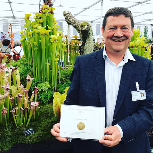 06. A 19th Chelsea Gold for Matt Soper and Hampshire Carnivorous Plants