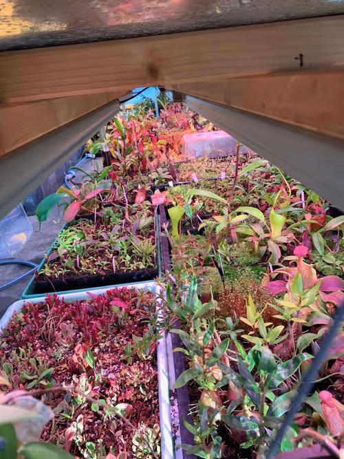 09. A peek under the benches, which are illuminated by fluorescent tubes. As anyone who has visited Christian will know, he makes very good use of every inch of space