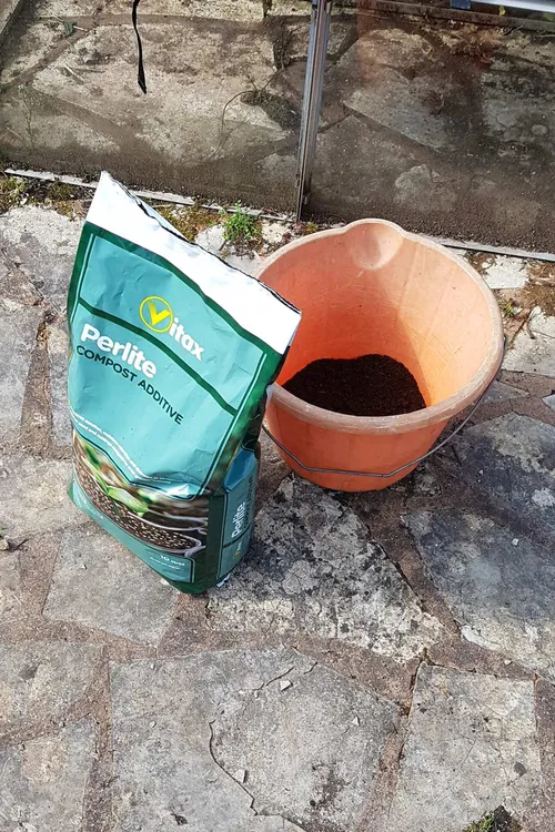 1. The key components of Sarracenia compost: perlite and sphagnum peat moss