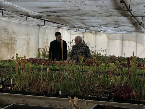 11. Me and Christian looking over his Sarracenia benches