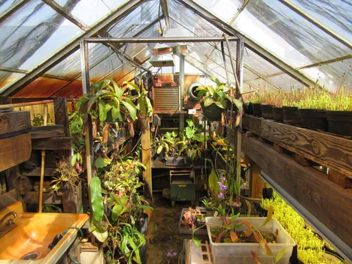 12. The Meadowview lowland greenhouse in 2017