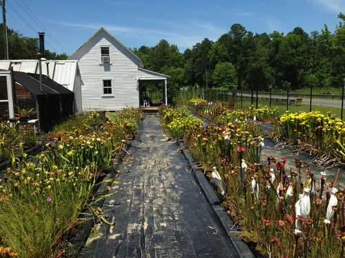 20. Meadowview in late June, when it can reach 100F (38C)