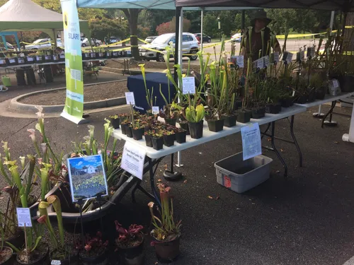 27. Meadowviews booth at Lewis Ginter Botanical Garden