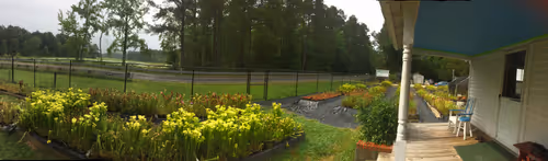 28. A panorama of Meadowview in 2017