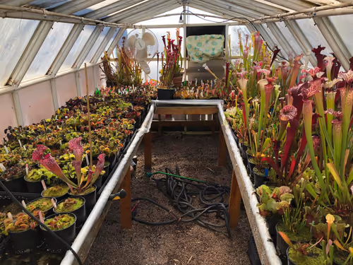 29. Jeremiah's temperate greenhouse