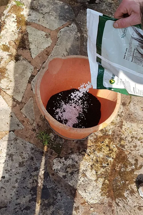 3. Mix the compost. About 3 parts peat or coir to one part perlite is fine