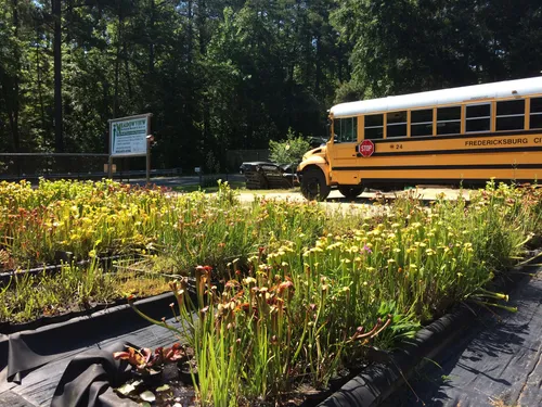 40. School groups visiting Meadowview during the summer