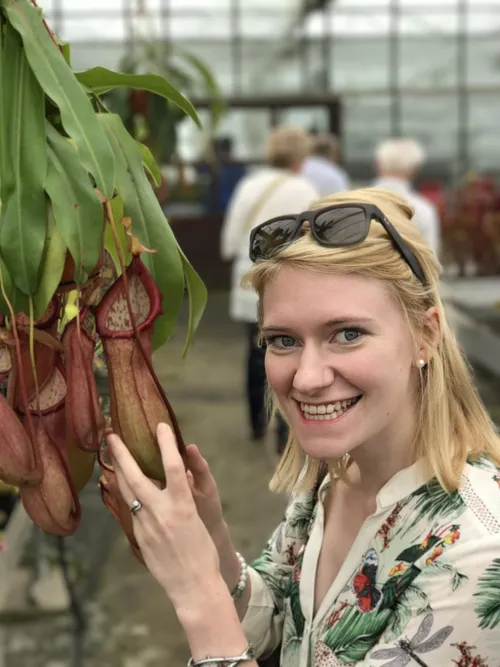 42. Next we headed towards the Nepenthes greenhouse. Before we got there, we found several Nepenthes growing in the main Sarracenia space. Here's my wife with Nepenthes 'Linda'.