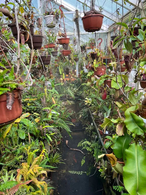 56. Looking back through the highland house