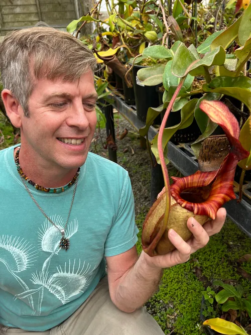 Damon with N. rajah x veitchii