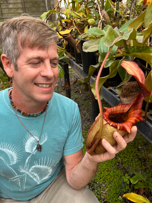 Damon with N. rajah x veitchii