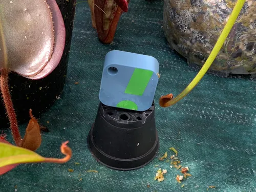 02. I use a second sensor to compare conditions in different areas of the greenhouse