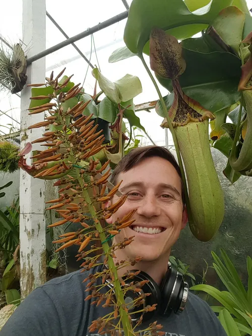 Josh with a Nepenthes truncata.