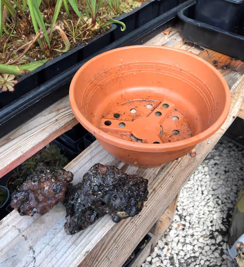 My chosen materials: planter and lava rock