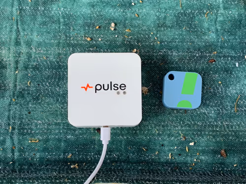 Size comparison between the Pulse One and the SensorPush