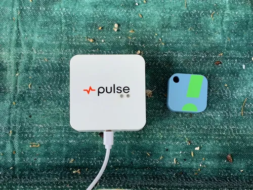 Size comparison between the Pulse One and the SensorPush