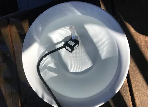 Submersible pump and aquarium tubing in water