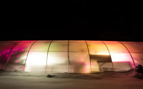 The Native Exotics greenhouse during snowy weather