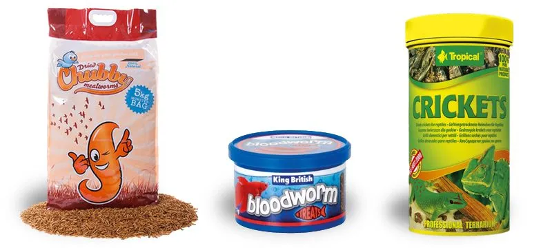 The Venus flytrap menu: mealworms, bloodworms, and crickets.