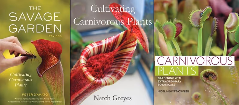 My top recommendations for books on carnivorous plants.