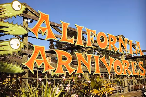 Q&A with Peter D'Amato of California Carnivores