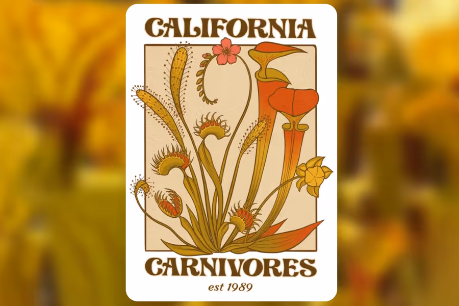 Catching up with Damon from California Carnivores