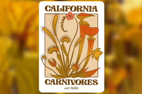 Catching up with Damon from California Carnivores