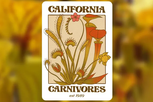 Catching up with Damon from California Carnivores