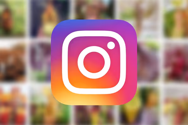 20 CP growers you should follow on Instagram
