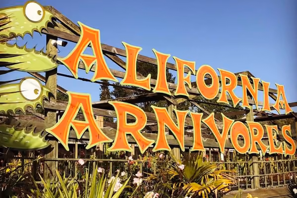 Q&A with Peter D'Amato of California Carnivores