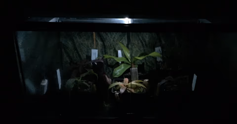 Terrarium with a mounted LED night light