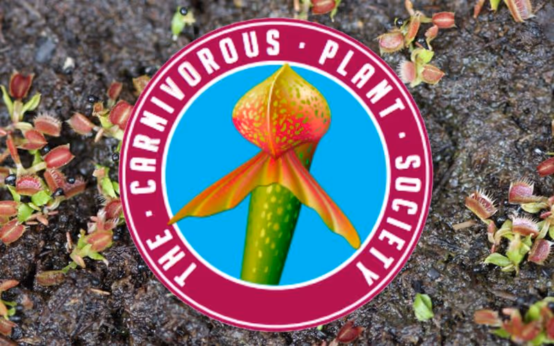 The UK Carnivorous Plant Society.