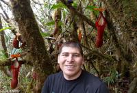 Drew on Tambuyukon with Nepenthes edwardsiana.