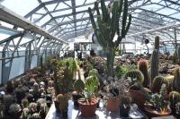 The cacti collection at Chester Zoo.