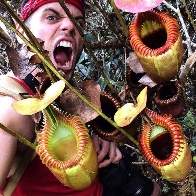 Domonick in Borneo with Nepenthes villosa.