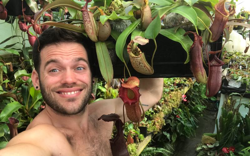 Redleaf Exotics is based in Brooklyn, NY. Owned by Domonick Gravine, this new nursery has already made a name for itself by offering top-quality seed grown Nepenthes.