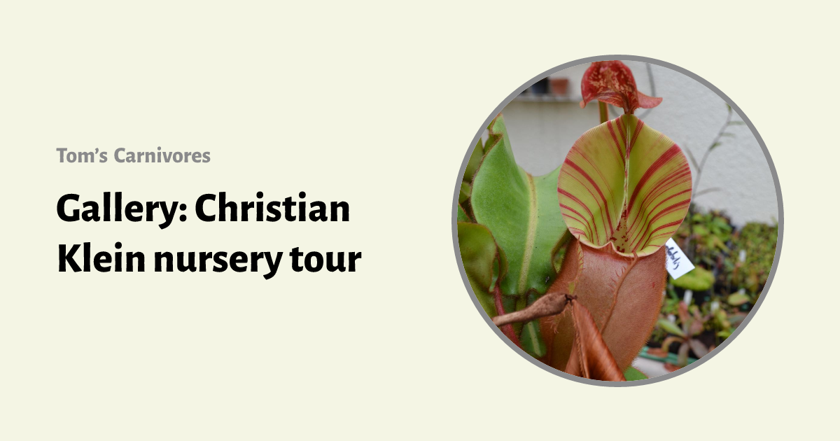 Gallery Christian Klein nursery tour Tom’s Carnivores