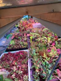 A peek under the benches, which are illuminated by fluorescent tubes. As anyone who has visited Christian will know, he makes very good use of every inch of space.